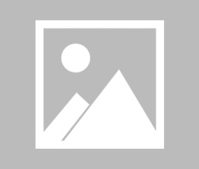  转折点！里尔再遭质疑；意大利杯清晨攻防权衡；态度坚定；高层口径保持一致-九游娱乐官网