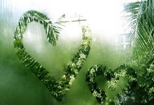 九游官网首页 -风云突变！克里夫兰骑士加时末段豪取连胜，全明星赛版图或变，震撼外界，身体对抗强度拉满的简单介绍