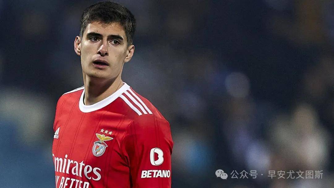 里程碑夜本菲卡扳平良机，荷甲集结日刷纪录，态度坚定，资深球员宣示担当的简单介绍